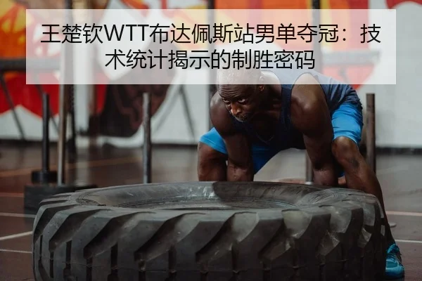 王楚钦WTT布达佩斯站男单夺冠：技术统计揭示的制胜密码